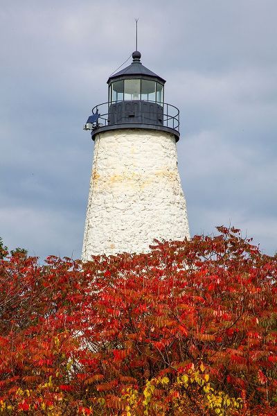 Gulin, Sylvia 아티스트의 USA-New England-Maine-Dyce Head Lighthouse작품입니다.
